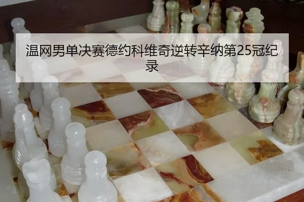 温网男单决赛德约科维奇逆转辛纳第25冠纪录
