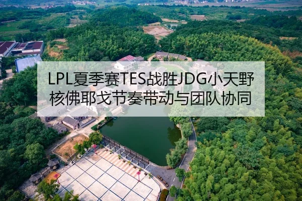 LPL夏季赛TES战胜JDG小天野核佛耶戈节奏带动与团队协同
